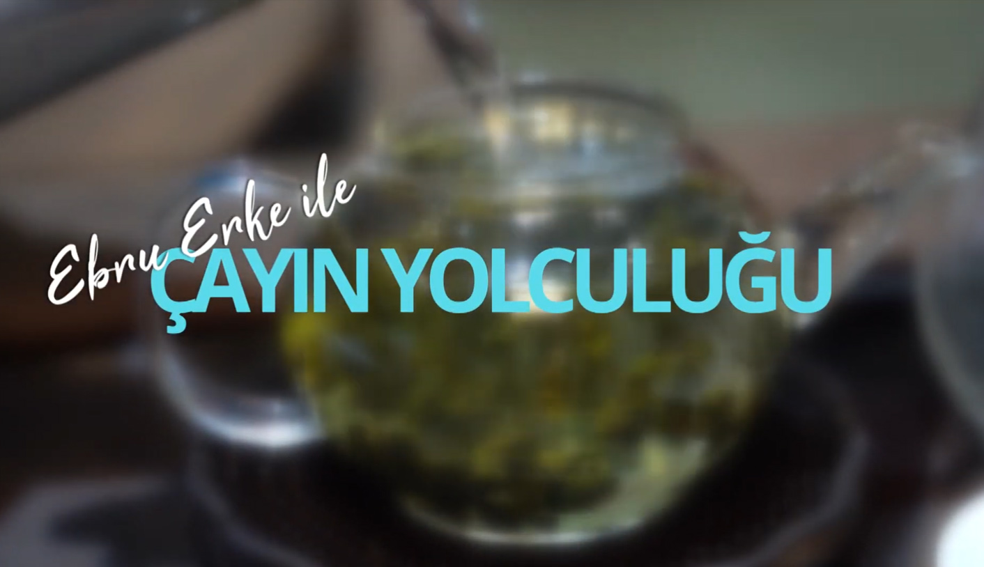 ÇAYIN YOLCULUĞU PROGRAMI