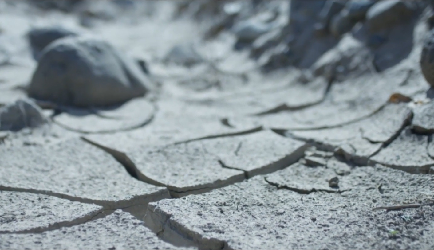 Yaşayabileceğimiz Tek Dünya Var : SU